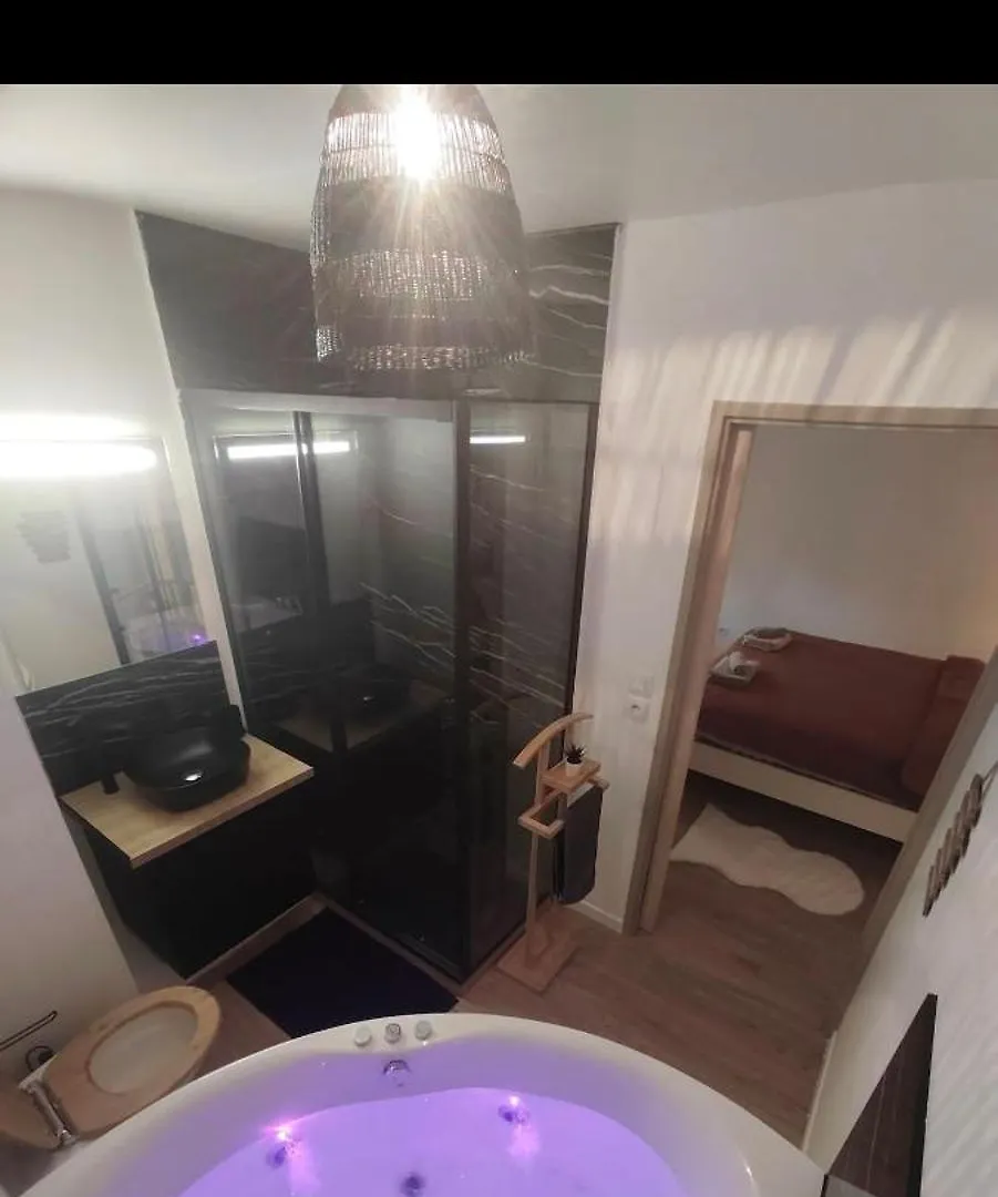 Escapade A Blagnac, T2, Balneo,Jardin,Parking,Tram Apartamento